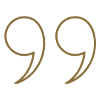 Navodnici.png